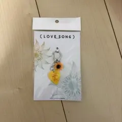 新品・未開封】映画（LOVE SONG）ピックキーホルダー - メルカリ