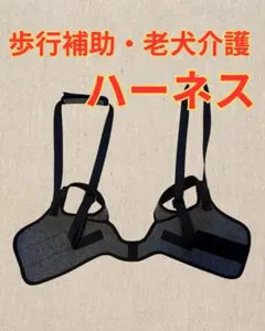 犬　後ろ足補助ベルト　ハーネス　Mサイズのサムネイル