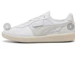 Item thumbnail for item 6192d51b-06b6-491b-bf6a-69a19da46511