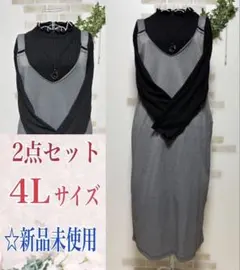 【4Lサイズ】◆お買い得価格◆２点セット◆ジャンスカ＋トップス☆新品未使用