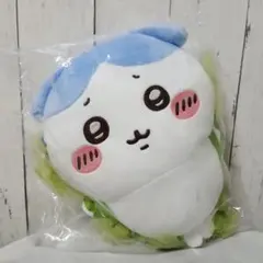 【新品未使用】ハチワレ 昆布締め