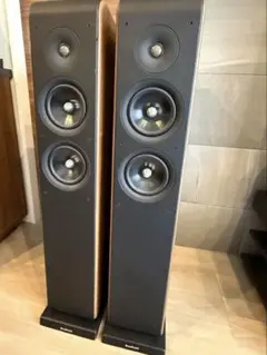 2025年最新】audio pro avanto fs-20の人気アイテム - メルカリ