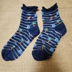 シースルーボーダーソックス ネイビー 双子セット