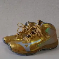 MIZUNOウェーブダイバース
