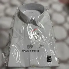 Item thumbnail for item 1402ba59-e91b-491f-a84f-c7571de6e003