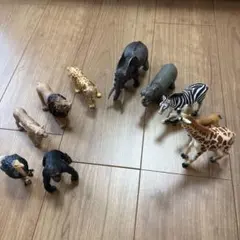 動物フィギュア まとめ売り 12体セット - メルカリ