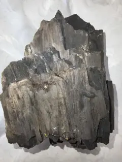 木炭化石（木化石）‼️とても珍しい‼️ 木炭化石（木化石）‼️とても珍しい‼️ - メルカリ