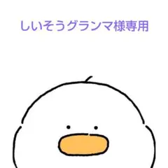 しいそうグランマ様 リクエスト 2点 まとめ商品