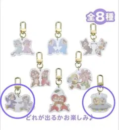 ディズニーストア シークレットキーホルダー チップ&デール チップとデール