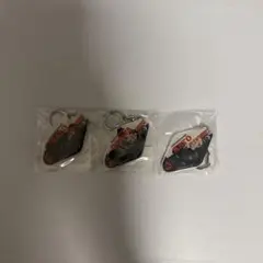 名古屋ダイヤモンドドルフィンズ モーテルキーホルダー 3種