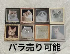 VENUS MARBLE キャットシリーズ 8種セット【バラ売り可】のサムネイル