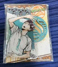 ハイキュー!! 及川徹 木製スタンド