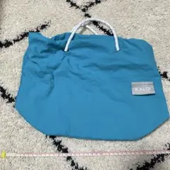 Item thumbnail for item 2ad46536-16aa-4633-92f0-1fe083bbcb48