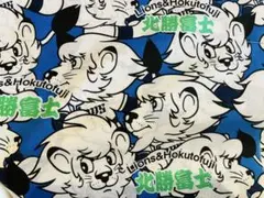 2026年最新】相撲 反物 北勝富士の人気アイテム - メルカリ