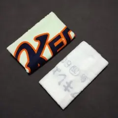 Item thumbnail for item 9c579359-89f3-47aa-9188-1402bf24ba0a