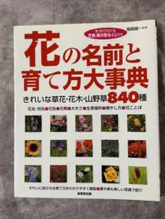 Item thumbnail for item e682d2b2-56f3-4a4b-bb59-2c948b4808c9