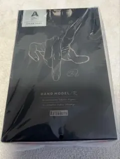 TIST SUPPORT ITEM ハンドモデル/R- GRAY-