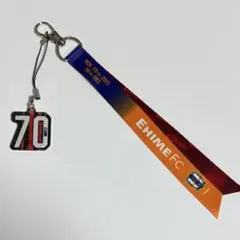 【北海道コンサドーレ札幌】11/29愛媛戦ボンフィンストラップ(70カン選手)