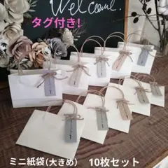 ミニ紙袋（大きめ）ホワイト無地10枚セット 淡色タグ付き!