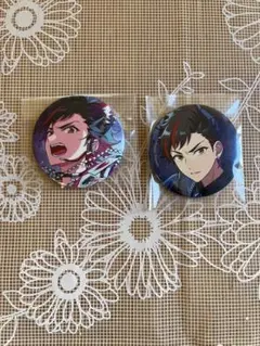 あんさんぶるスターズ あんスタ 缶バッジ コレクション缶バッジ 南雲鉄虎 流星隊