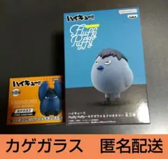 ハイキュー!!　カゲガラス　ぬーどるストッパー　FluffyPuffy　未開封