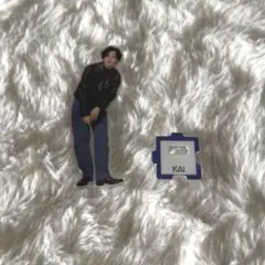 超特急 カイ ミニアクリルスタンド アクスタ 小笠原海