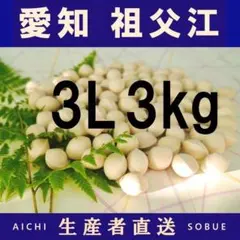 2026年新物 久寿 銀杏 ぎんなん祖父江産 3L 10kg 2026年新物 久寿 銀杏 ぎんなん 祖父江産 3L 1kg - メルカリ