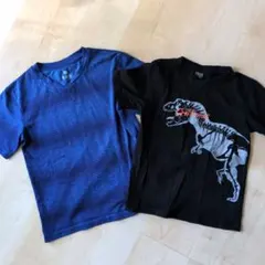 Item thumbnail for item 435d7a07-6771-4f92-bbbe-9c76cf31ac4b