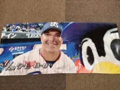 ヤクルトスワローズ オスナ選手 つば九郎 タオル