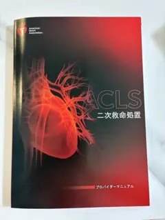 ACLS G2020 二次救命処置 プロバイダーマニュアル　書込無 美品 BLSプロバイダーマニュアル G2020 ACLS G2020 二次救命処置
