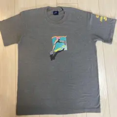 80s ヴィンテージ　NIKE 紺タグ　 Tシャツ グレー