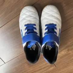 インドア トレシュー アンブロ18cm