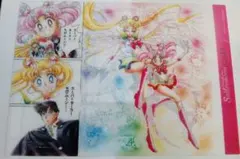 2026年最新】キャラクター名：月野うさぎ/セーラームーン その他の人気