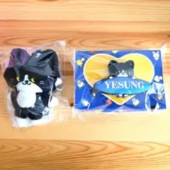 SUPER JUNIOR イェソン ぬいぐるみ ドール キーリング 正規品 - メルカリ