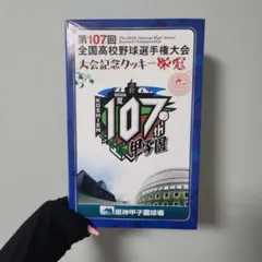 高校野球 記念グッズ