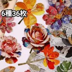 Item thumbnail for item c9d3722b-b308-4d44-8408-ca1160783ca8