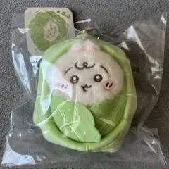 ちいかわ Chiikawa Baby ベビー キャベツに包まれたうさぎマスコット
