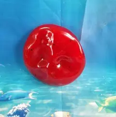 スイカ もち スクイーズ シャクシャク感のサムネイル