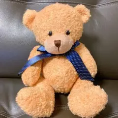 TEDDY BEARテディベアくまさんぬいぐるみ結婚式weddingウェディング