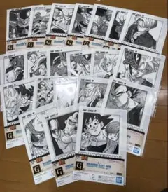 ドラゴンボール 一番くじ 40th 其之一 G賞 クリアファイル
