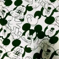 日本未発売　disney ミッキーマウス　Tシャツ　mickey ディズニー