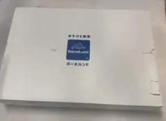 ★美品 ボーネルンドオリジナル オリジナル積み木 M