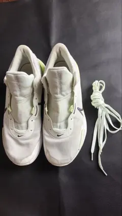 米軍放出品　NIKE ナイキ DD9304-300