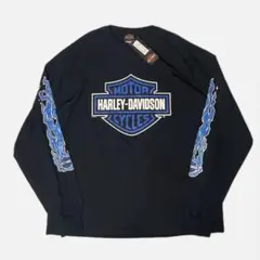 2025年最新】ハーレー ロンt ファイヤーの人気アイテム - メルカリ