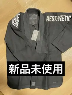 【新品未使用】Aesthetic Pure Legacy A1サイズ