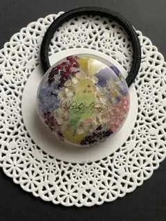 ハンドメイド レジン ヘアゴム オカメインコ No.57 - メルカリ
