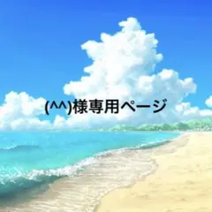 (^^)様専用ページです