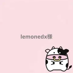 lemonedx様 リクエスト 2点 まとめ商品