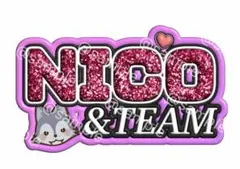 &team☆NICHOLAS☆ニコラス☆ネームボード☆NICO☆手作りうちわ - メルカリ