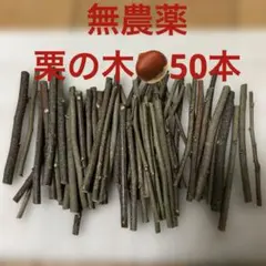 Item thumbnail for item 4b831ec6-e482-4f96-a0bc-4063ffe5b98e